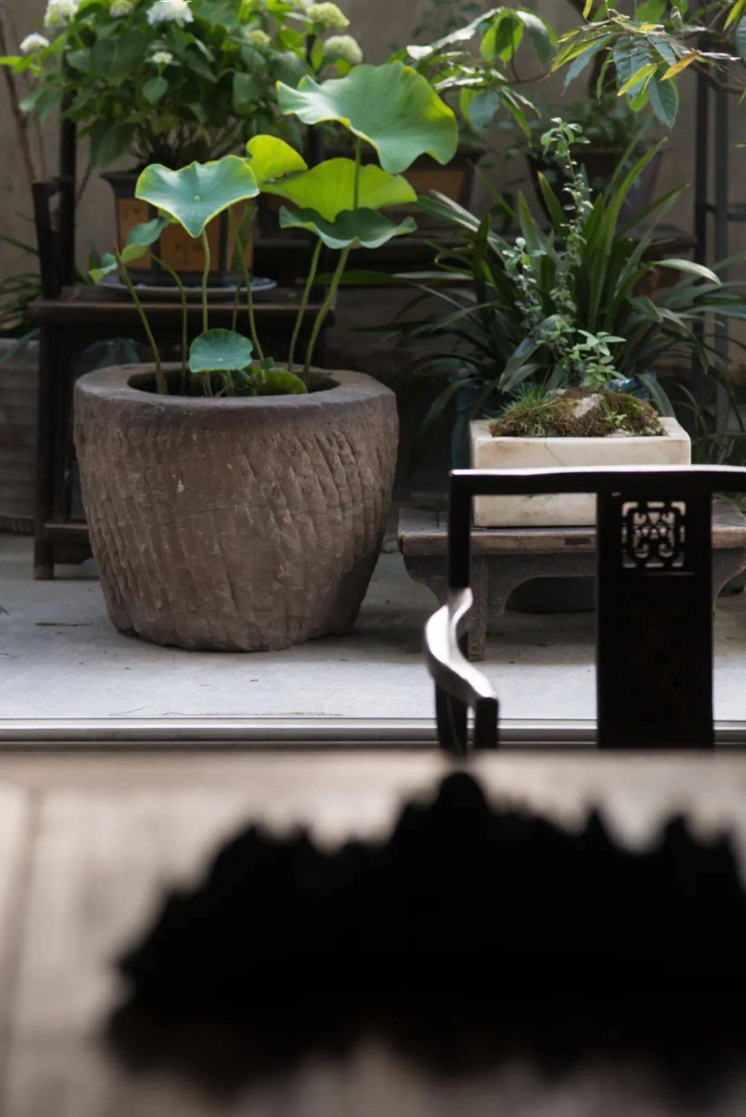 风雅 只因趣移情 不远生活 是一种