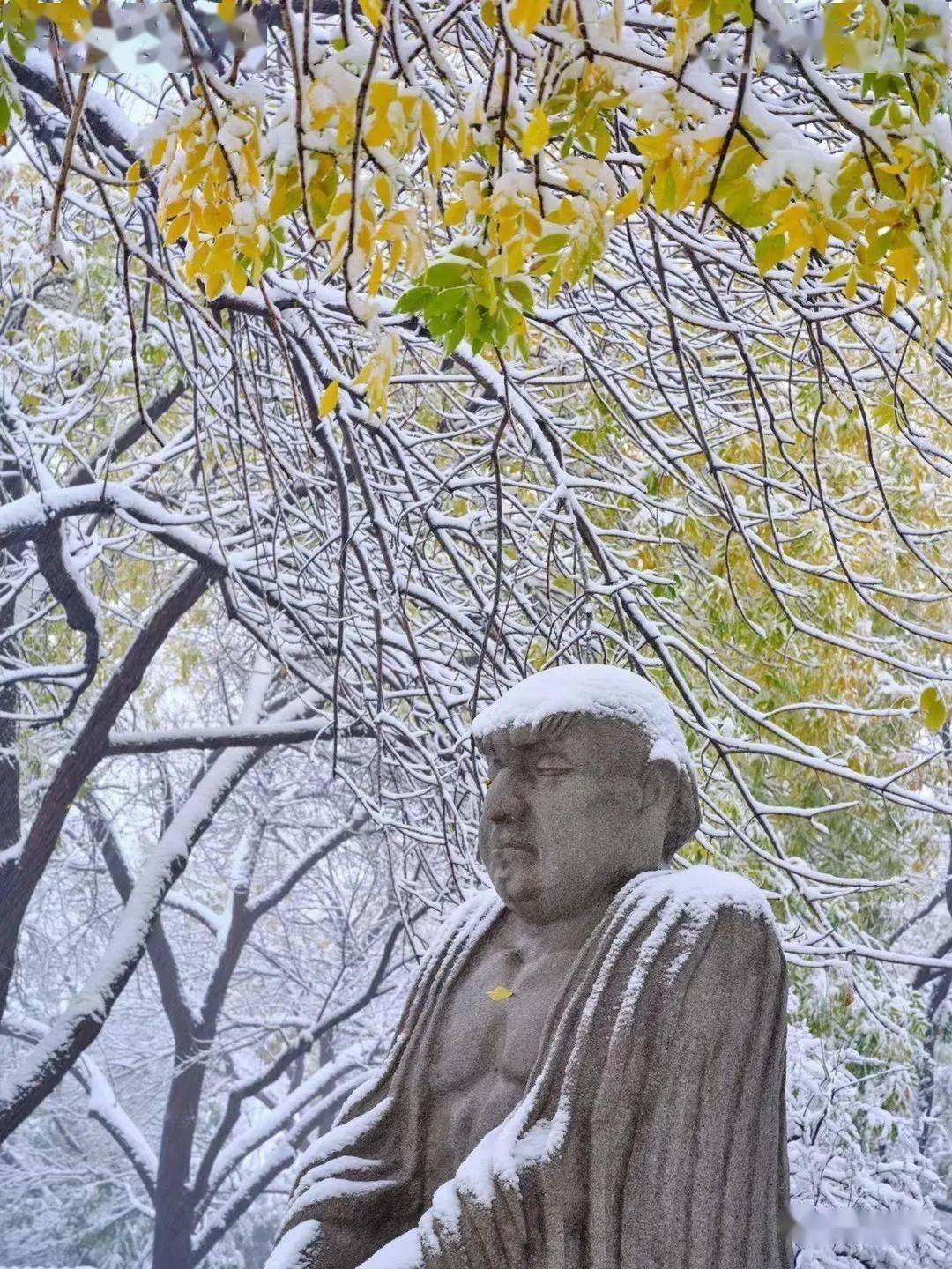 网友|济南雪景美上热搜!网友:一下雪,济南就成了济南府