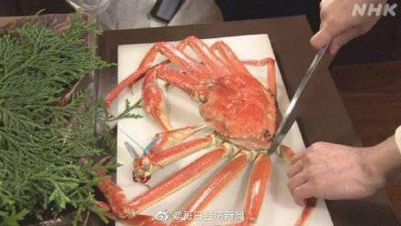 顾客|日本旅馆500万日元螃蟹免费招待顾客