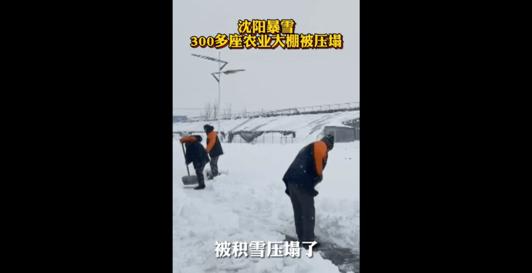 寒潮|暴雪下的东北，无法喘息