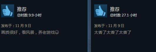 区有|《FZ地平线5》Steam正式解锁！特别好评但闪退崩溃