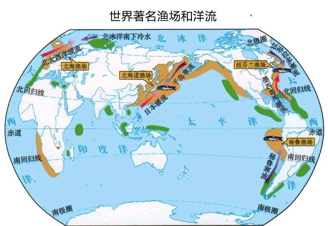 世界地图中文版 放大图片