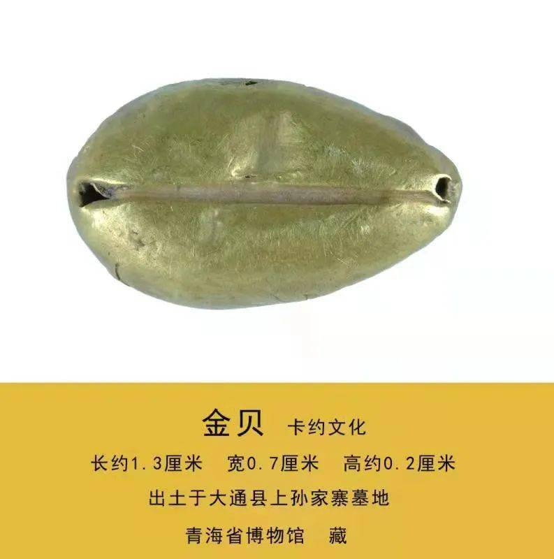 馆藏精品丨青铜时代卡约文化金贝二十四