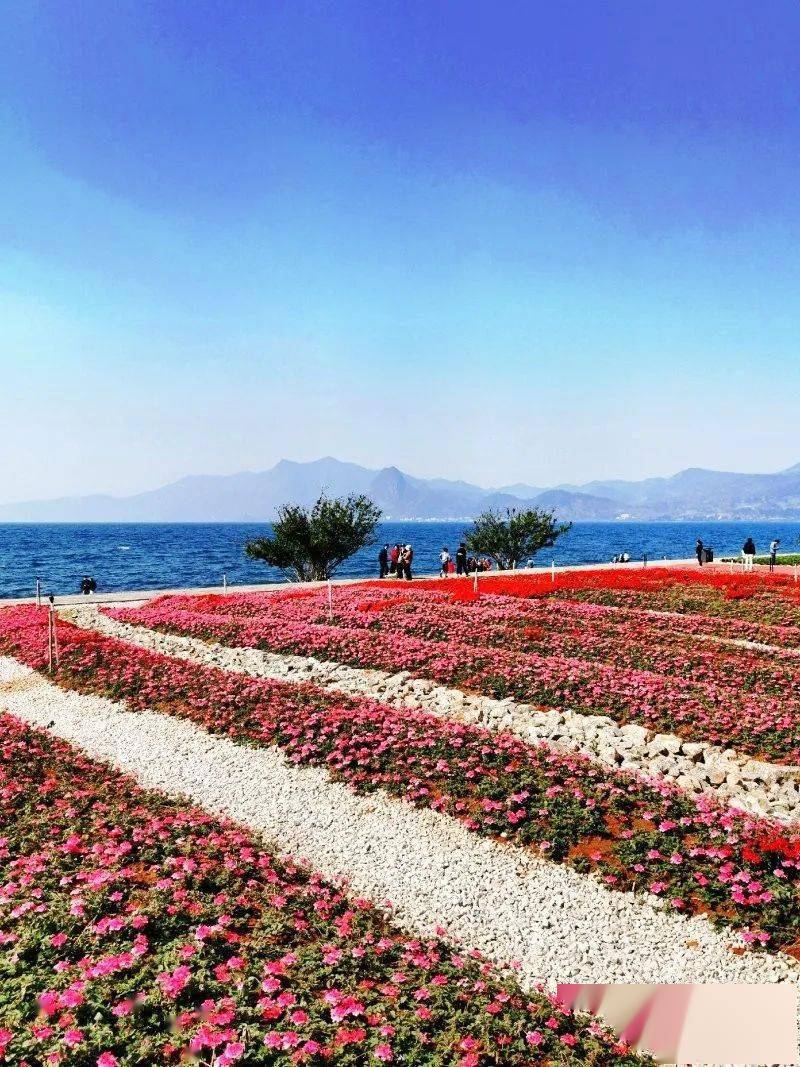 冬季打卡,抚仙湖这些景点不容错过!_澄江