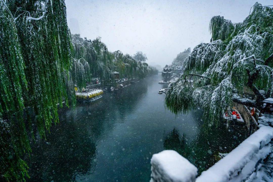 组图看济南护城河的冬日标准照