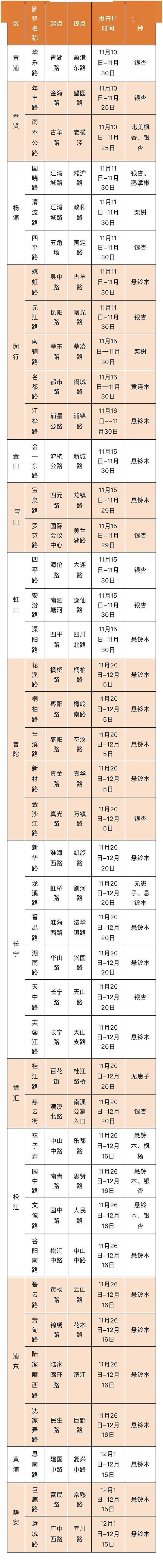 上海|上海公布2021年41条落叶不扫景观道，带你邂逅秋韵