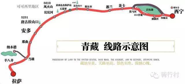 花之国难产花王 中国国花评选综述 文化经纬 Dw 05 08 2005