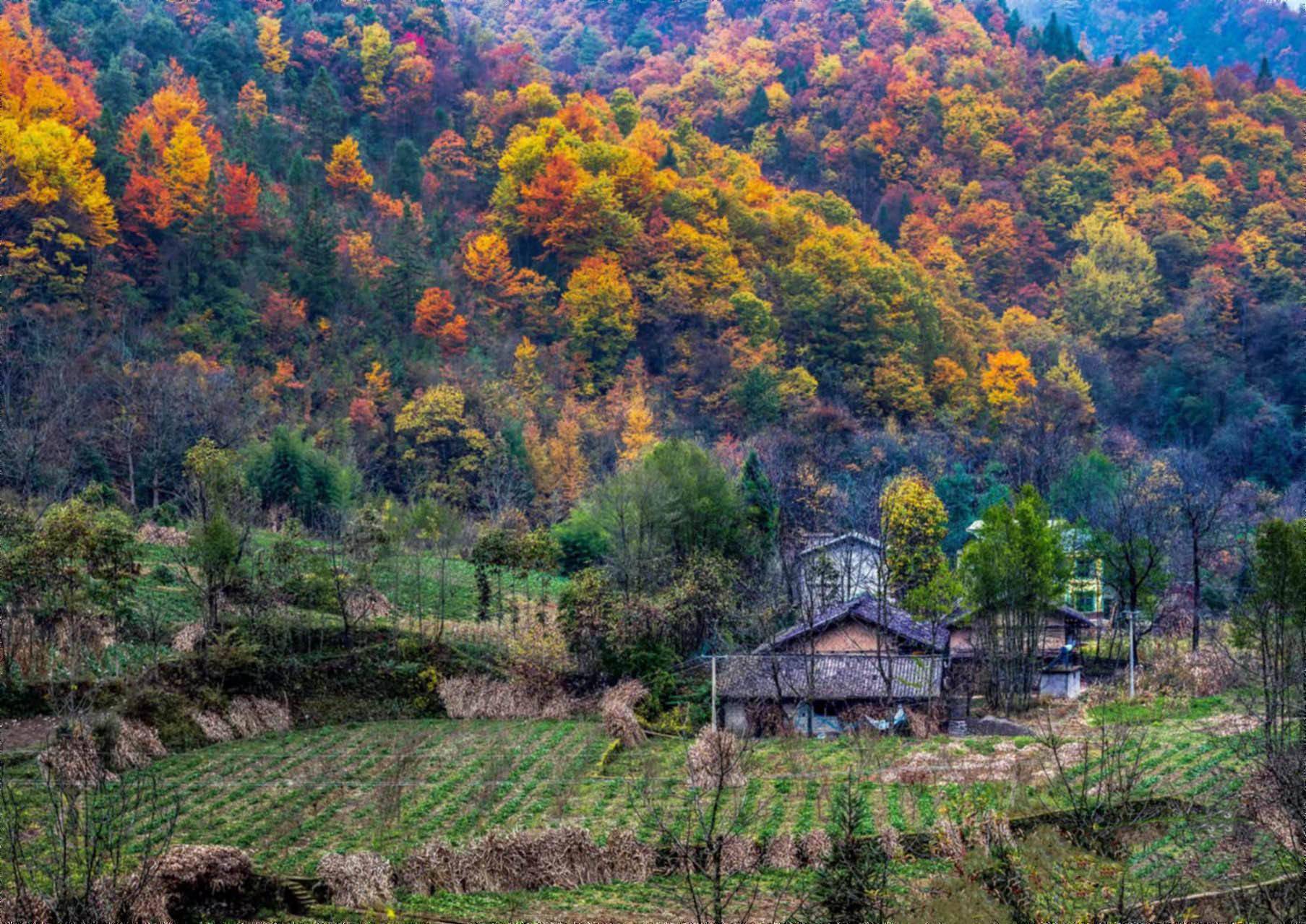 城口景点图片