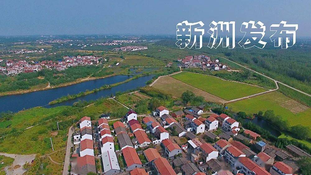 美丽乡村丨邾城街巴徐村:乡村游让乡村有活力