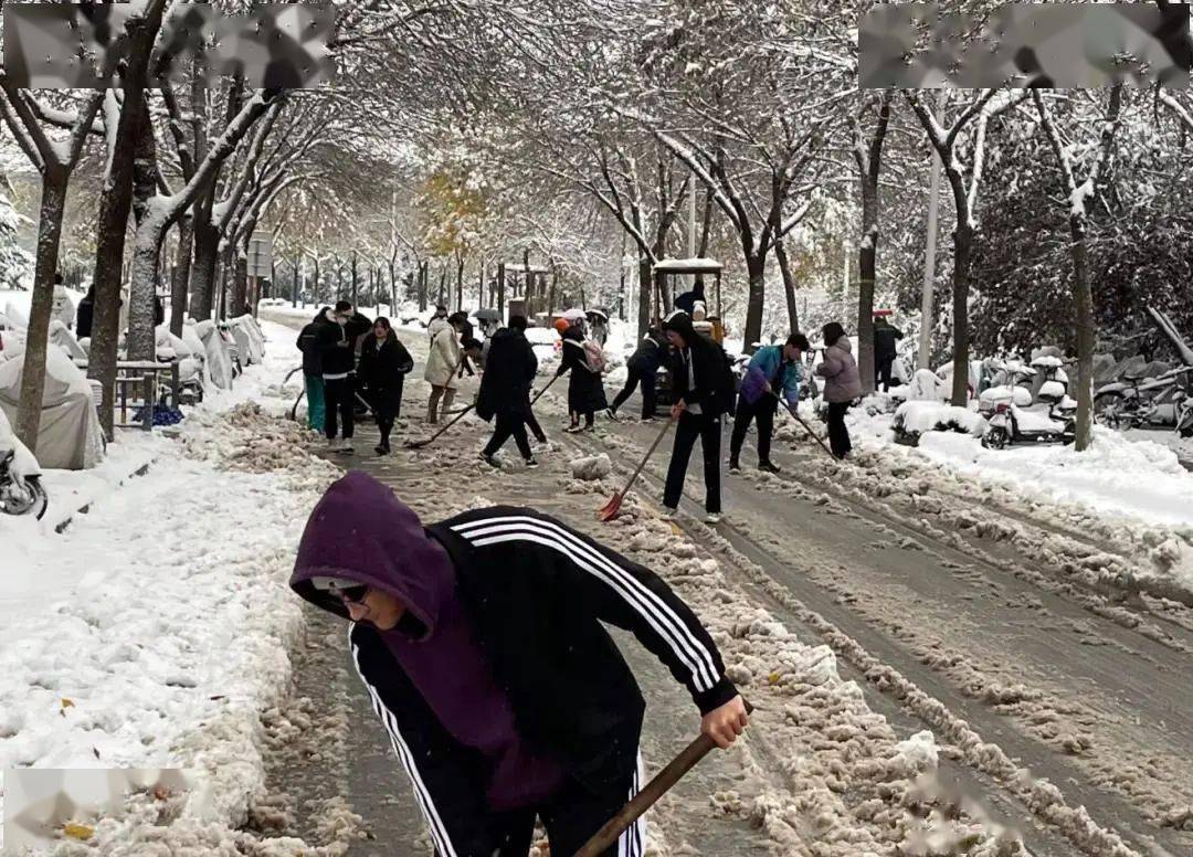 我为同学做件事冬日校园里那些可爱的扫雪人