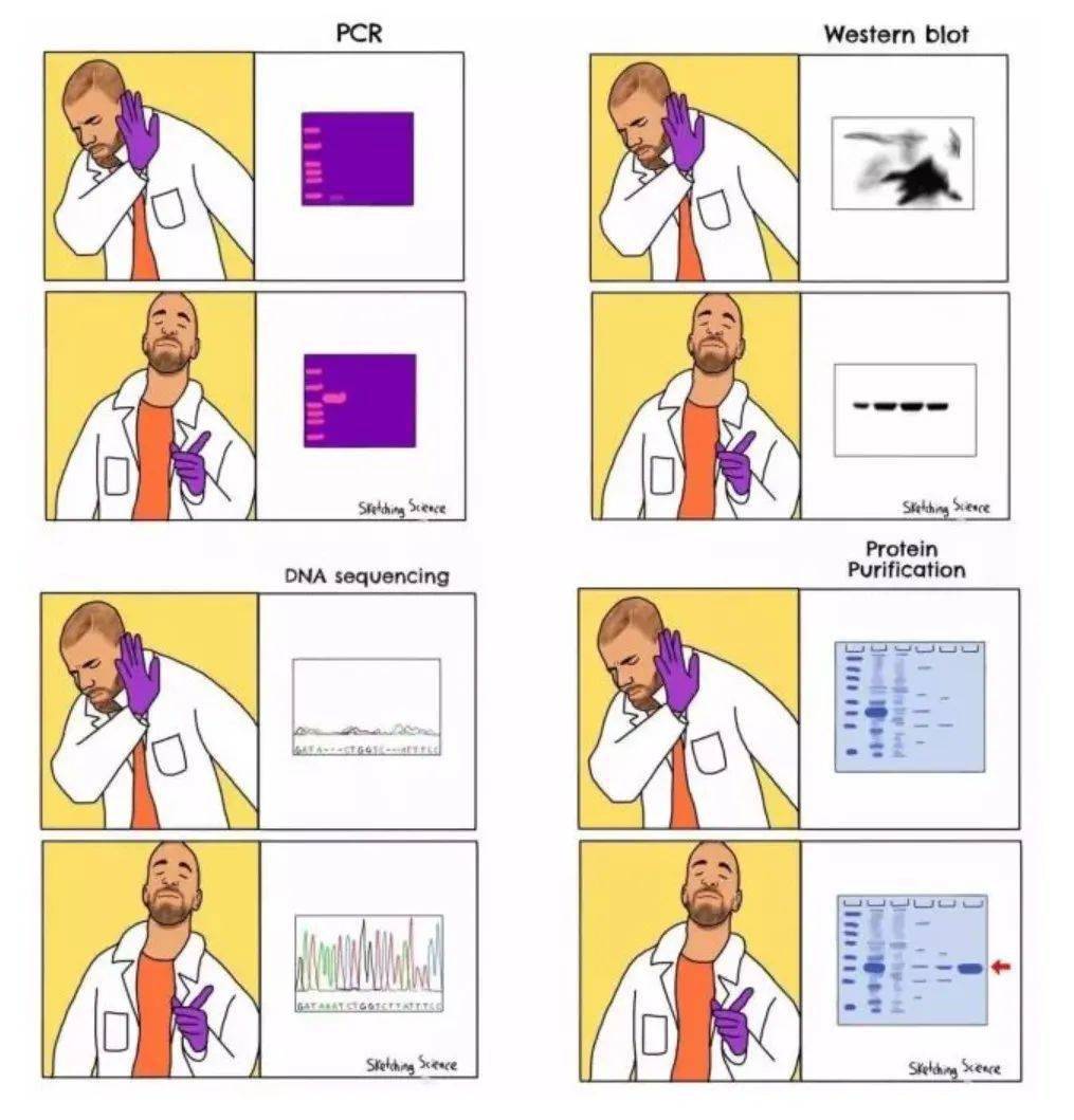 精美sci论文图怎么做graphpadprism9快速绘制柱状图折线图组合图