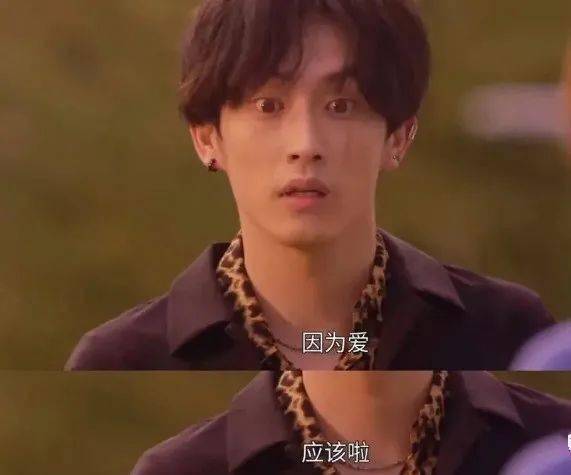 因为|弱势少女x不良少年，这样可爱又温柔的小狼狗谁顶得住啊？