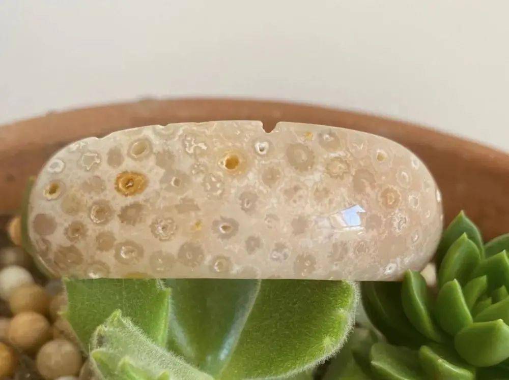 带你认识珊瑚玉的十种花型_龙骨