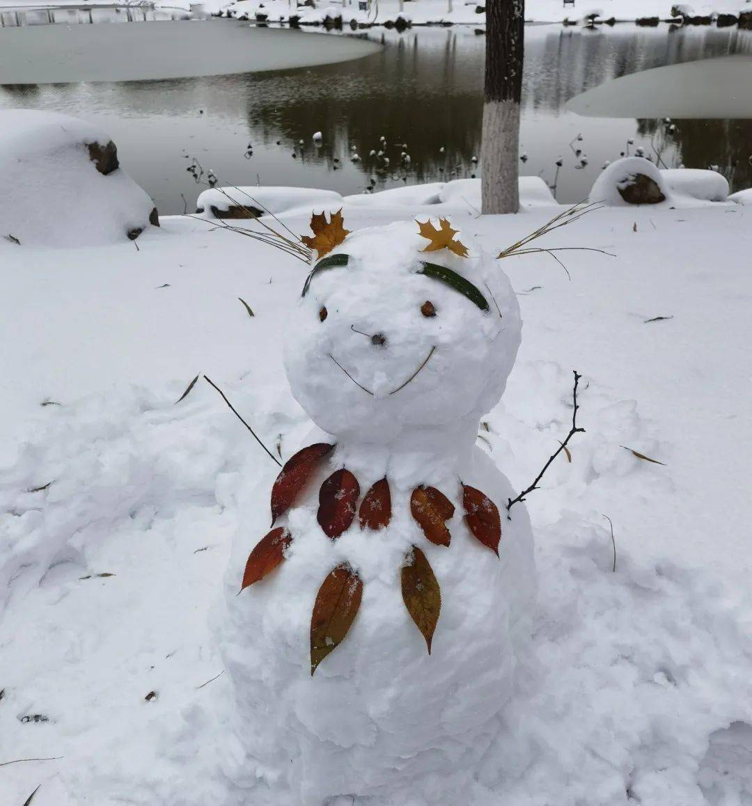 雪中漫步白头图片图片