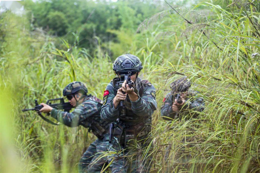 橄榄绿武警浙江总队机动支队武警河池支队武警徐州支队