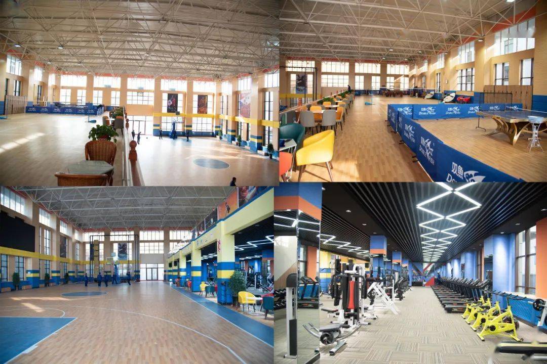 筑战训基石,强打胜本领—甘南支队室内训练馆全部建成投入使用_建设