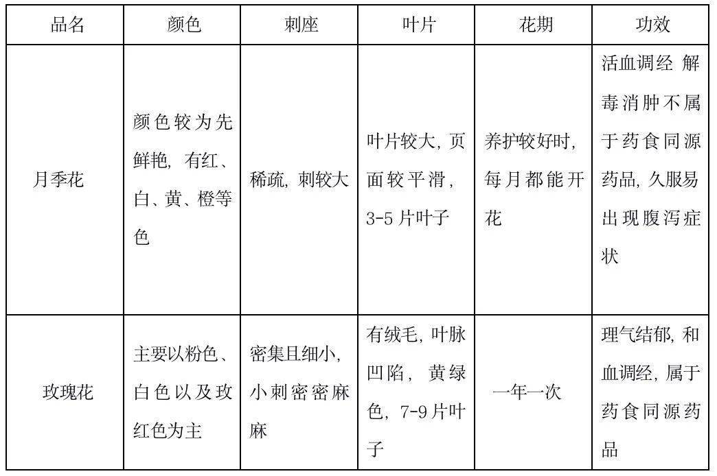 图解月季和玫瑰如何区分边读诗边学习科普