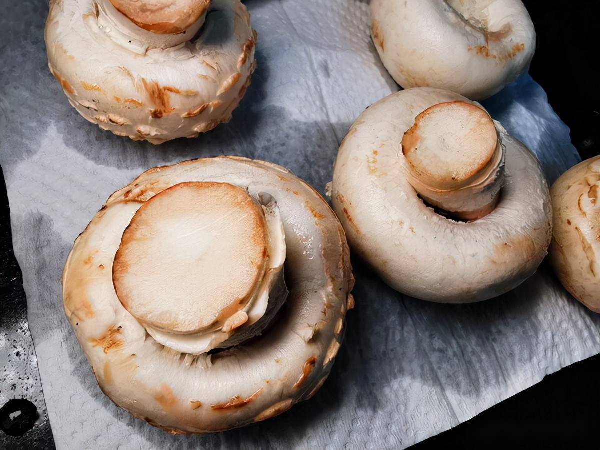 拳头大的口蘑就应该这么吃汤汁都是精华美味