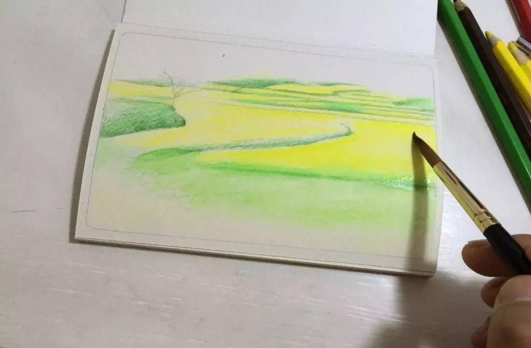 教怎样画一幅水溶彩铅风景油菜花田