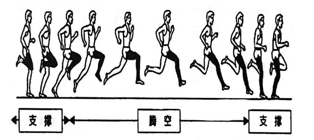 短跑动作结构听节奏跑固定步长高频率跑后蹬跑04中长跑及练习方法中长