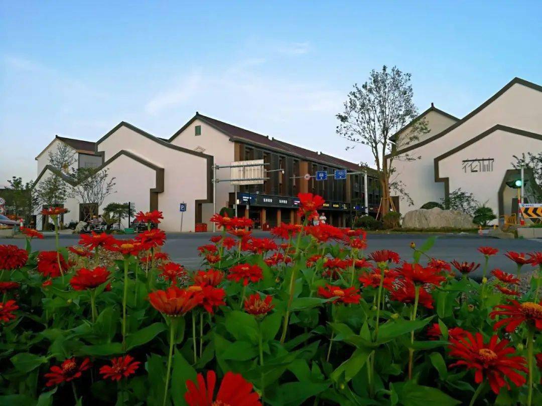 练市镇水口村成全国示范