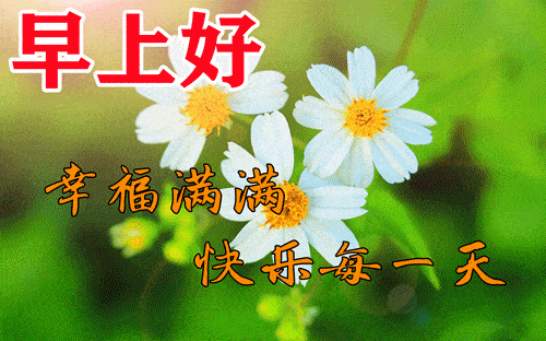 11月11日早上好动态表情图片大全早晨好动图美图大全
