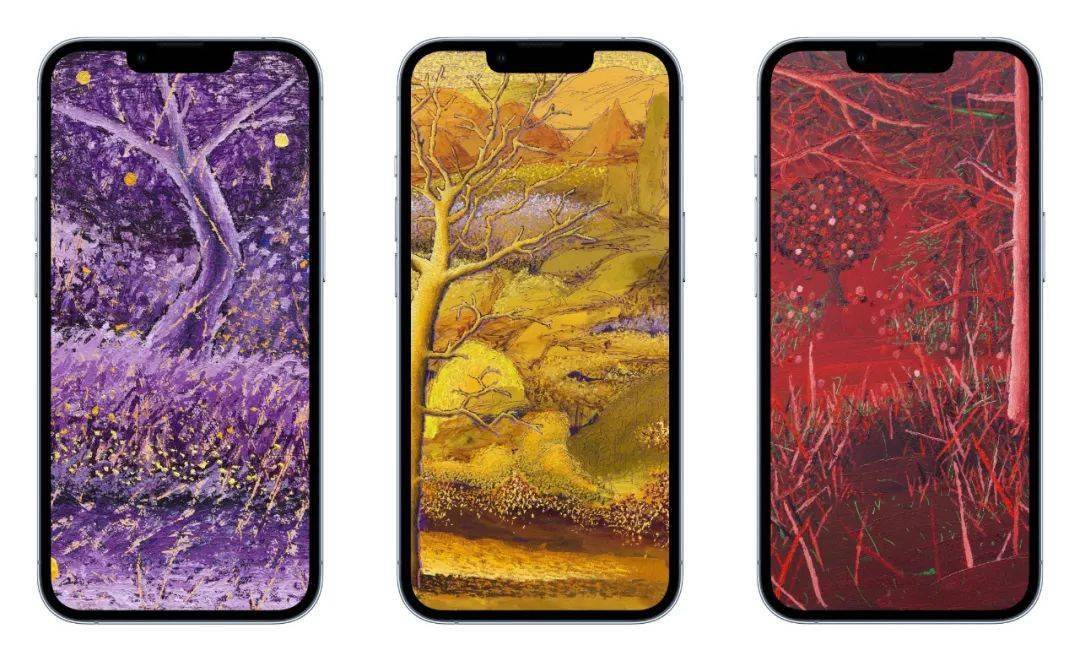 iCloud for Windows 13 发布 / 微信支付升级亲属卡功能 / 《海贼王》真人剧演员公开