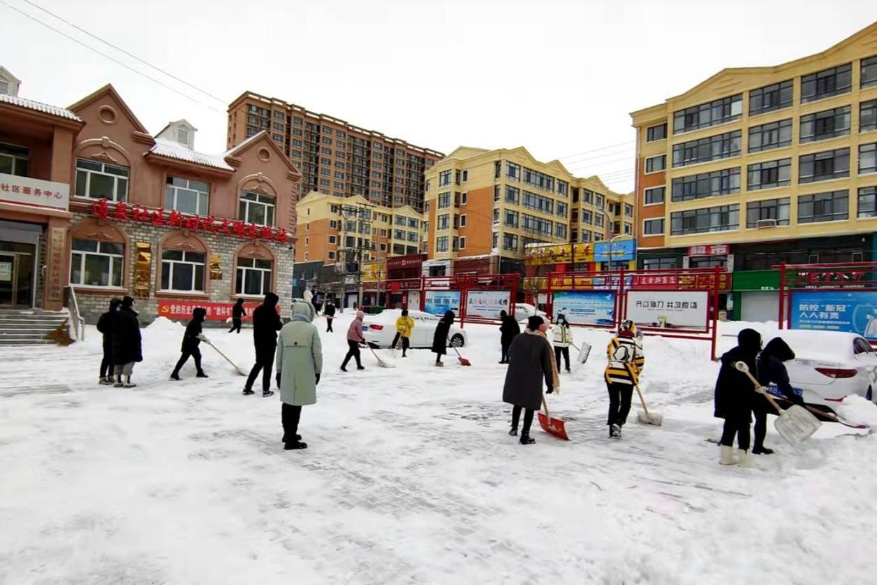 拜泉县网格员无惧风雪为党旗增色