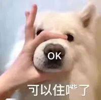 老婆|【聊天室】麻醉没清醒时的迷惑行为，好家伙这是麻倒了还是喝多了？