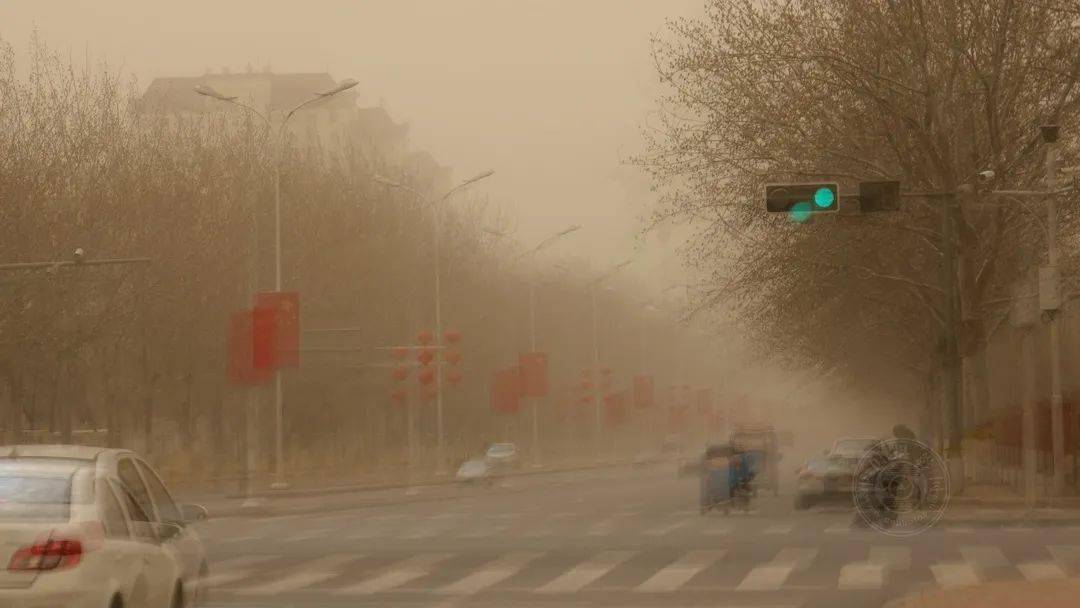 作品展|2021丽水摄影节 | 《迷?沙》王玉甫摄影作品展