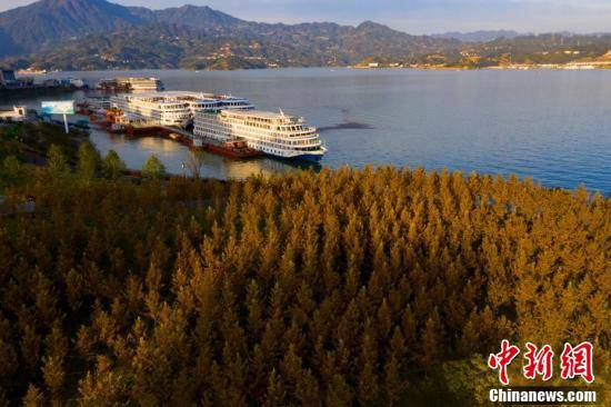 水域|三峡库区“高峡平湖”秀美壮丽