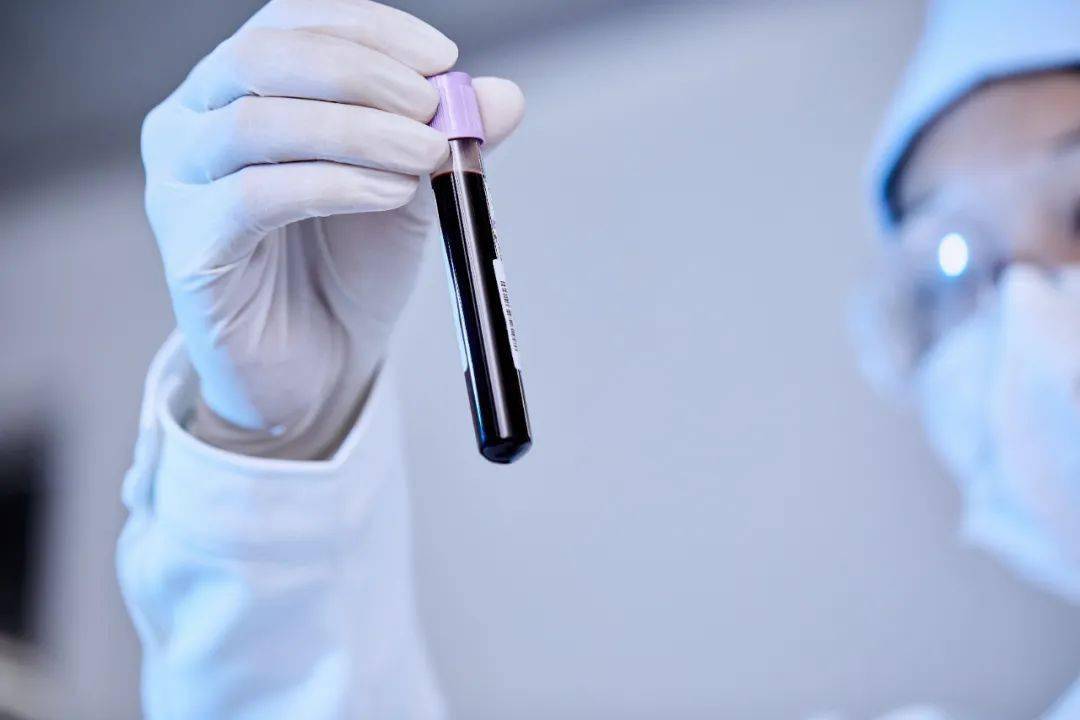 特别策划 | 贝瑞基因十一年：探究一管血里的价值