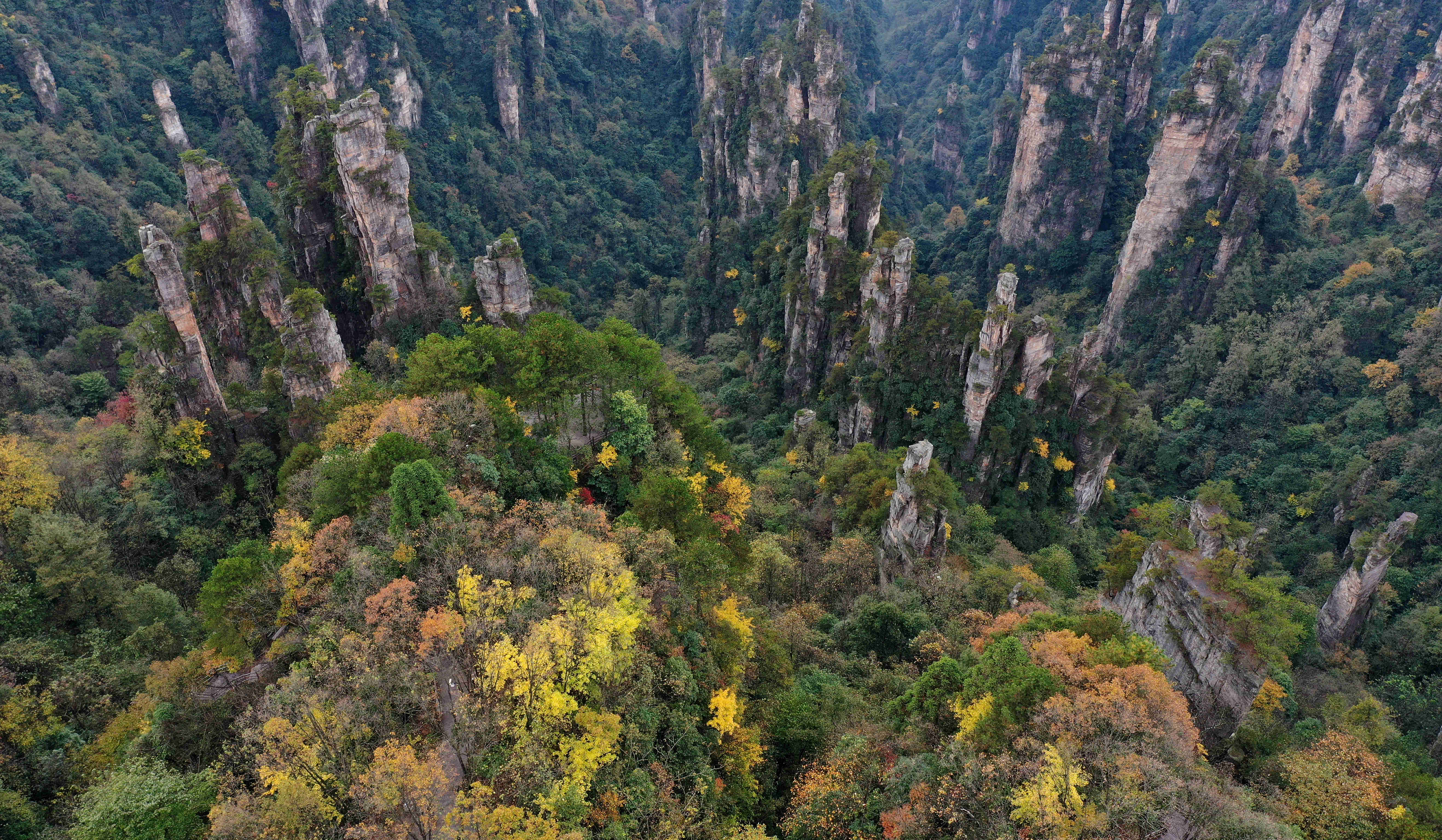 新华社|湖南张家界：峰林色彩斑斓景色美