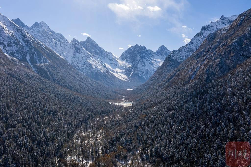 景区|如诗如画！来看毕棚沟初冬雪景大片