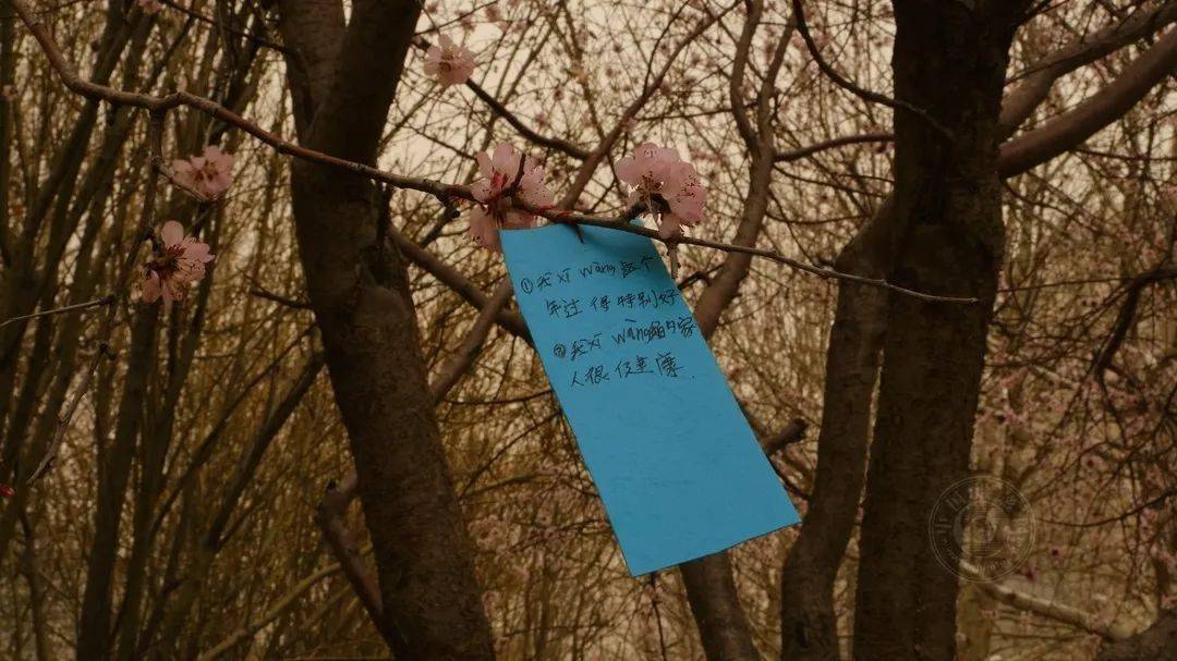 作品展|2021丽水摄影节 | 《迷?沙》王玉甫摄影作品展