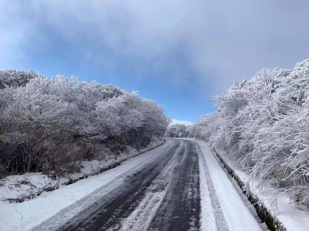 雷公山雪景图片图片