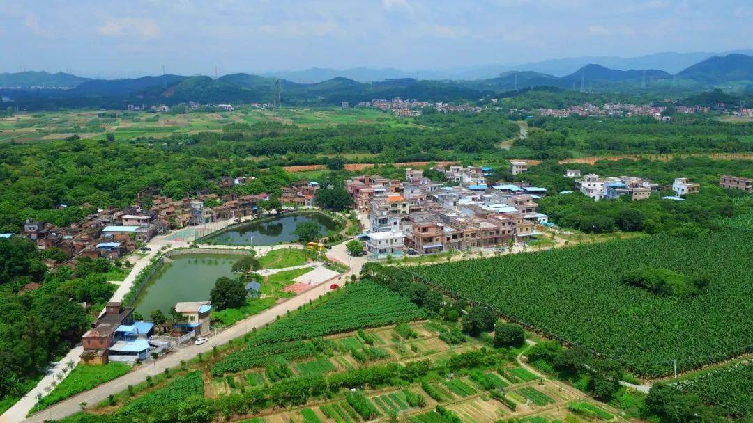 宁西,石滩,仙村,派潭…一共10条村!_增城