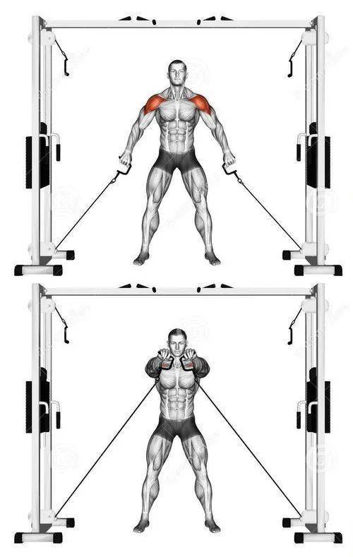 19水平胸推主要能全面刺激胸肌各区域,并调动前三角肌,肱三头肌等共同