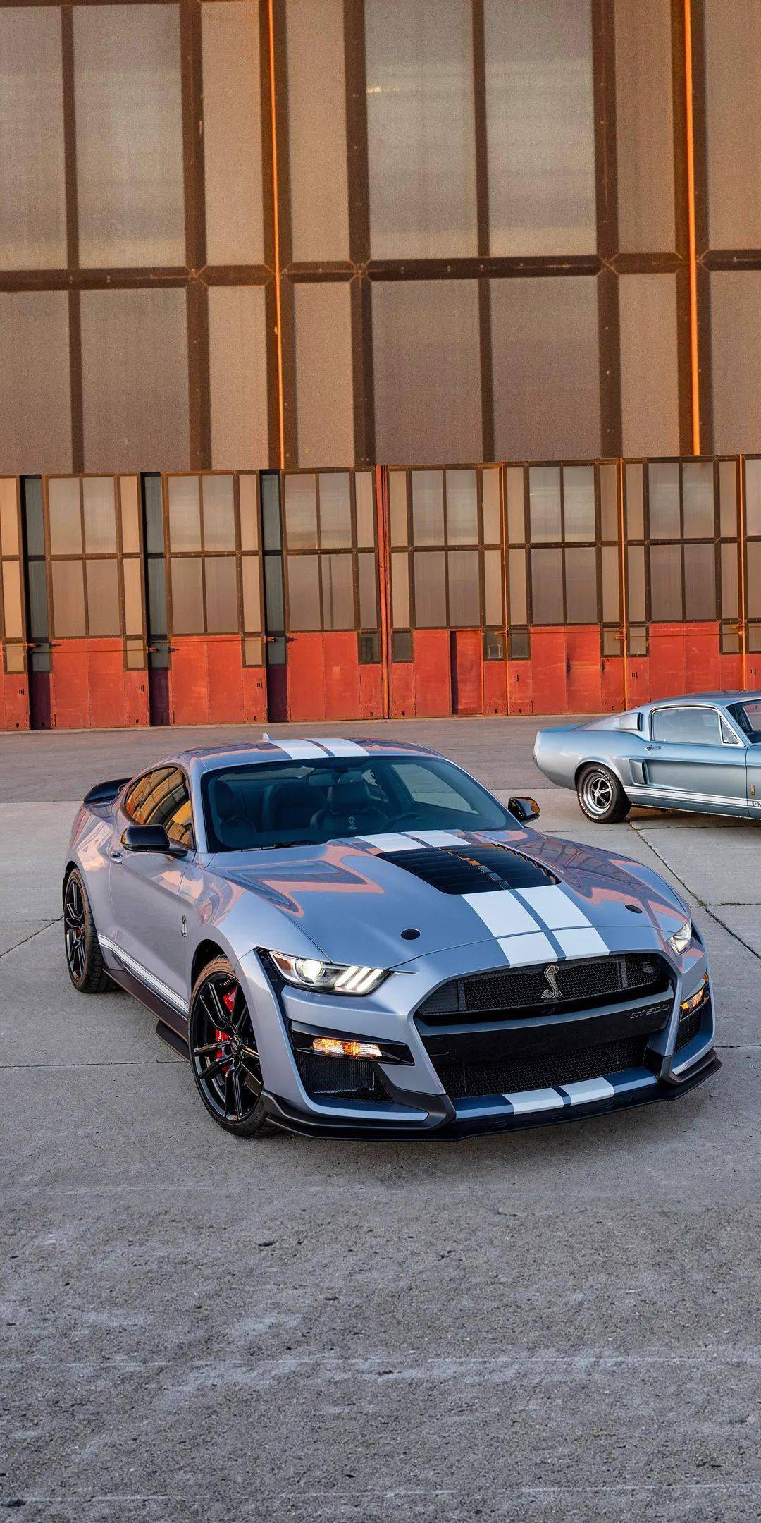 海湾限量版的谢尔比gt500