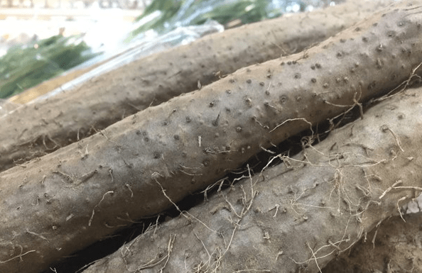 清水|【妙招】山药去皮手痒痒？一根筷子搞定