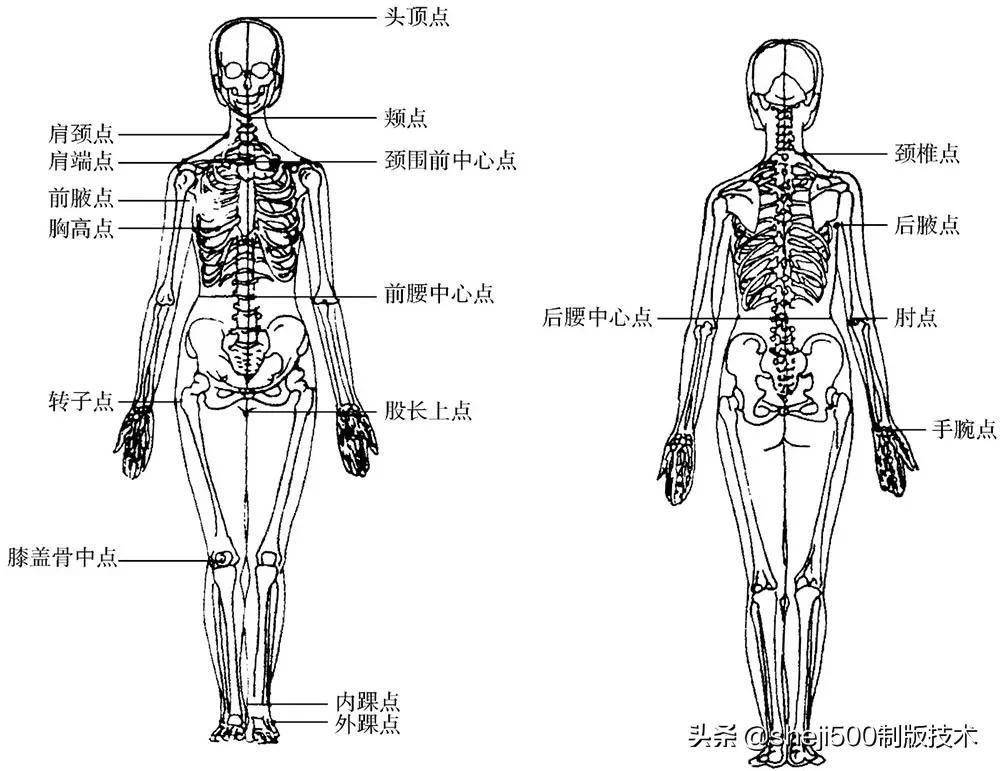 人体体型与服装制图