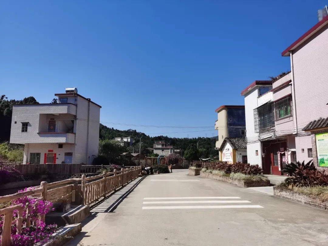 景中添景如今吸引了大批游客依托"红色产业 "模式石角镇黄花存久洞村