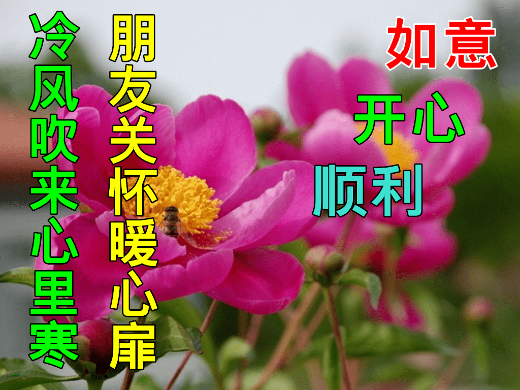 早上好动态表情图片及早晨好动图美图大全做_祝福