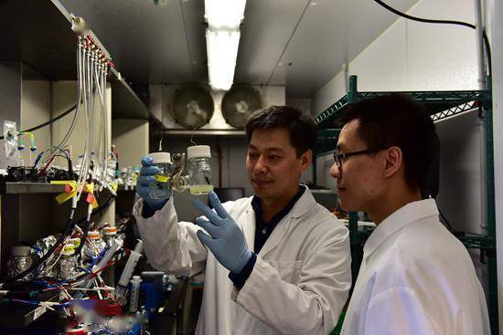 潜心科研三十年写好“碳文章”