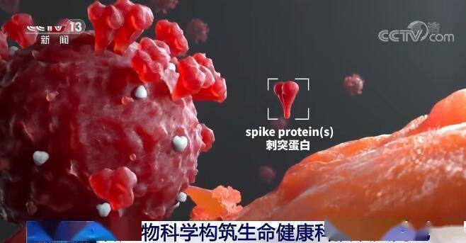 勇攀科技高峰 创新决胜未来 | 微生物科学构筑生命健康科技攻关高地