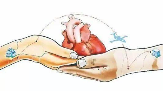 河西|南京市第一医院顺利完成第125例心脏移植手术（河西院区首例）！