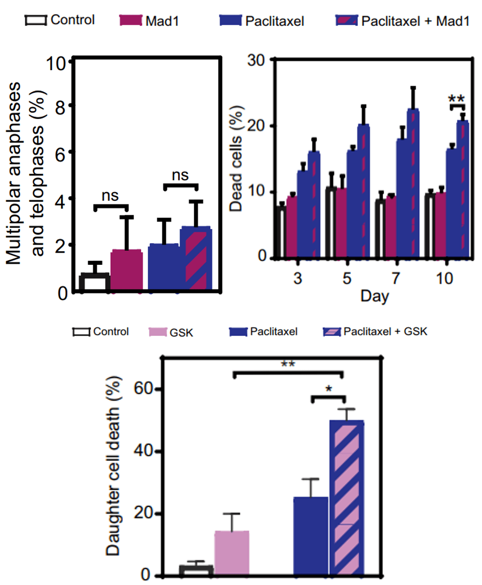肿瘤|《科学》子刊：紫杉醇“捧杀”癌细胞！
