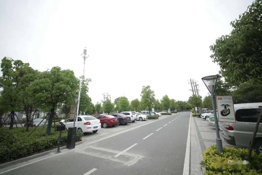 到2025年,阜城将再增加3万个停车泊位!_停车场