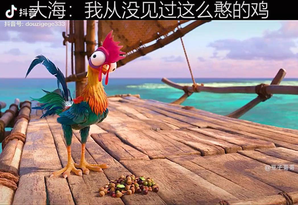大海:我从没见过这么憨的鸡搞笑 治愈 可爱 海洋奇缘