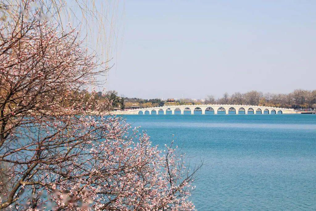 曹奂东壁纸图片